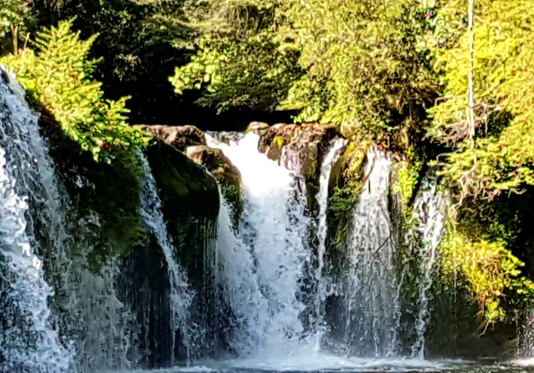 Ranco Lake-Lago Ranco必去景点