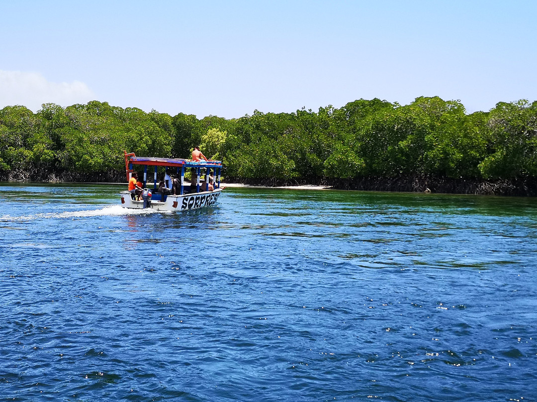 Safari Kenya Top - Private Day Tours-瓦塔木必去景点