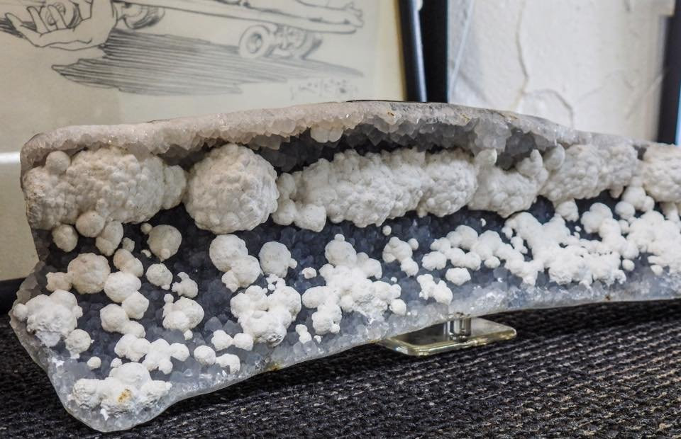 Pineapple Rocks-萨拉索塔必去景点