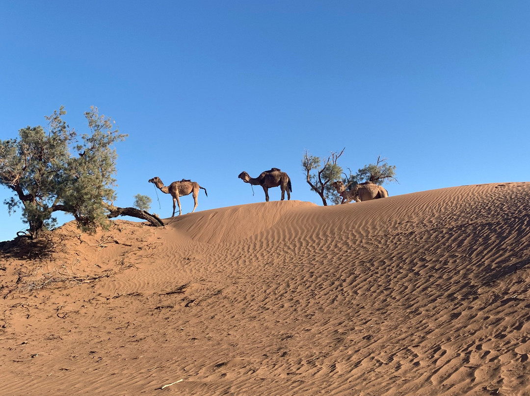 Caravane Rose du Sable-马拉喀什必去景点