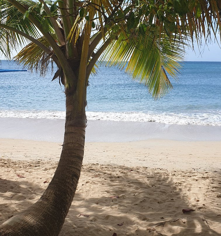 Anse Corps de Garde-圣吕斯必去景点