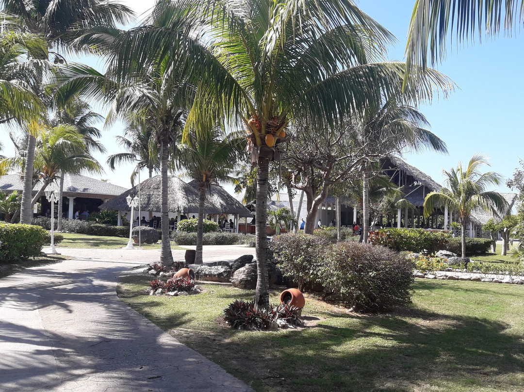 Melia Las Dunas主图