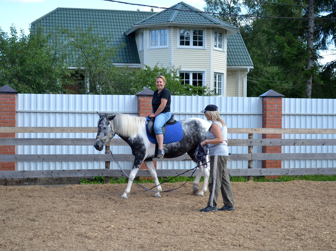 Tosno Equestrian Club Status景点图片