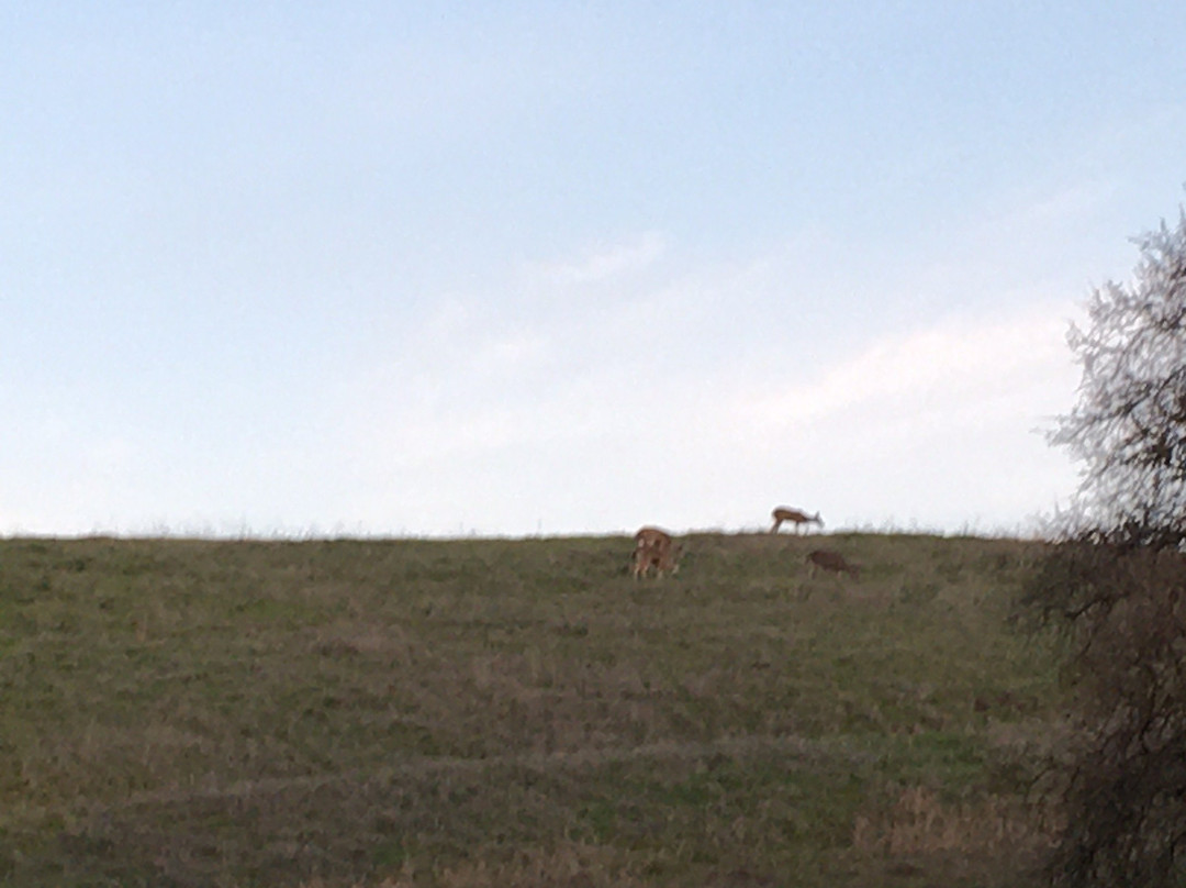 The Stanford Dish-帕罗奥多必去景点