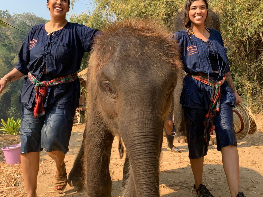 Elephants' Home & Nature景点图片