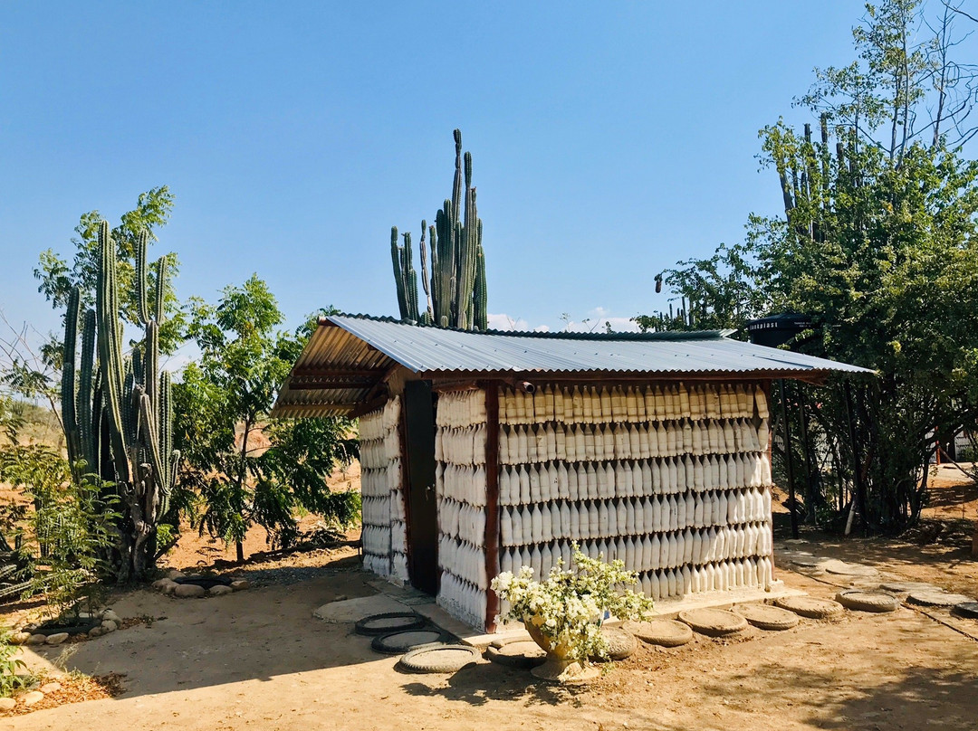 Alojamiento Casa de Campo Los Cactus