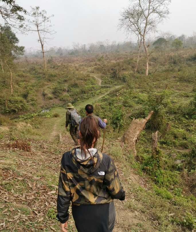 Jungle safari tours-奇旺国家公国必去景点