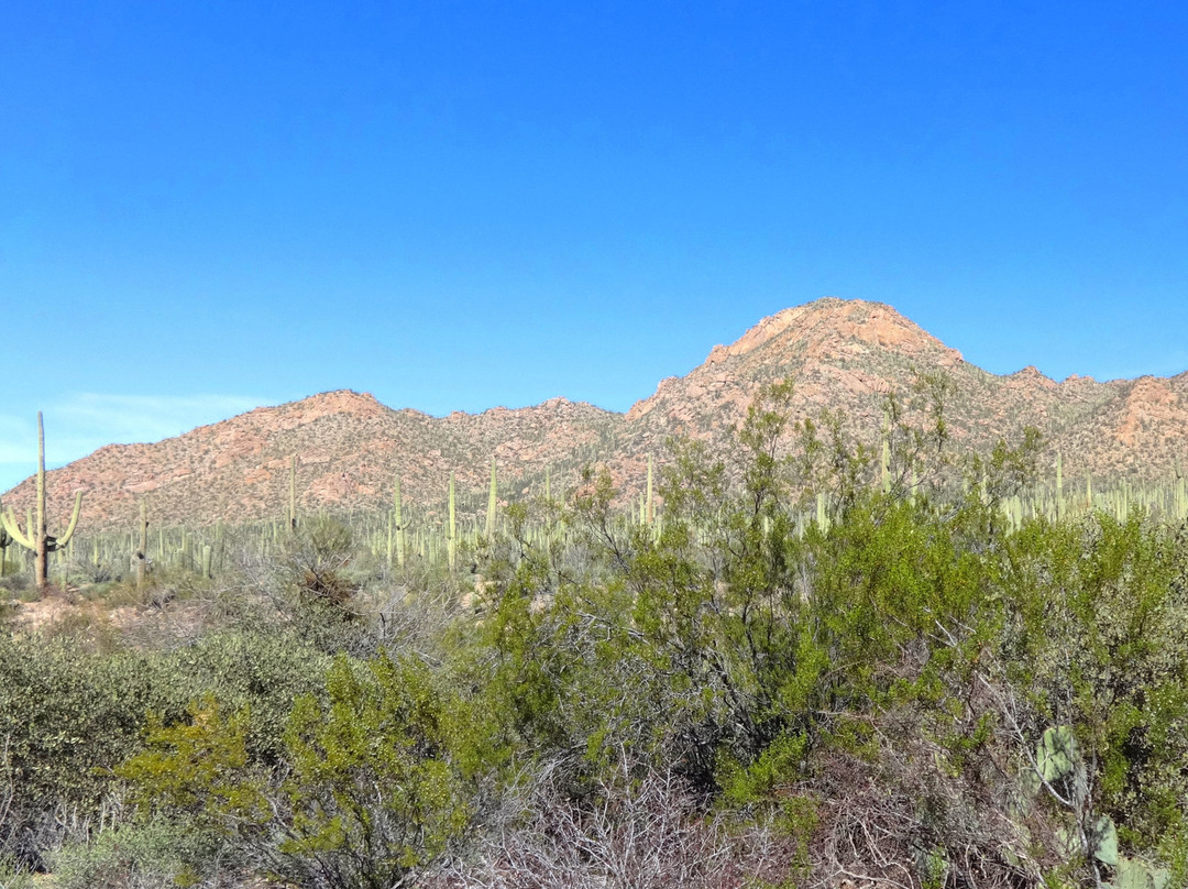 Cat Mountain Lodge & Roadside Inn主图