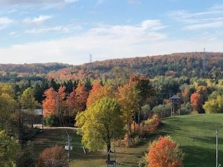 Glen Eden-Milton必去景点