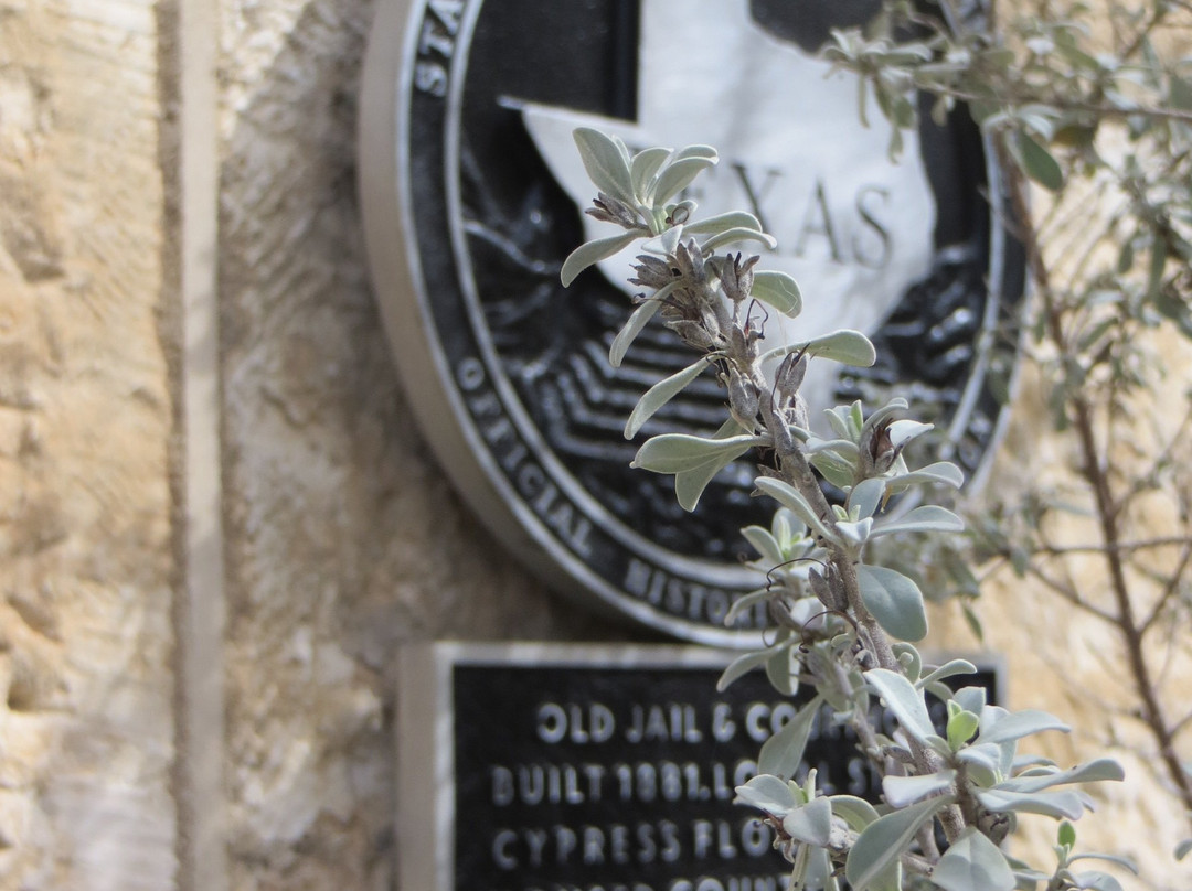 Bandera County Courthouse-Bandera必去景点