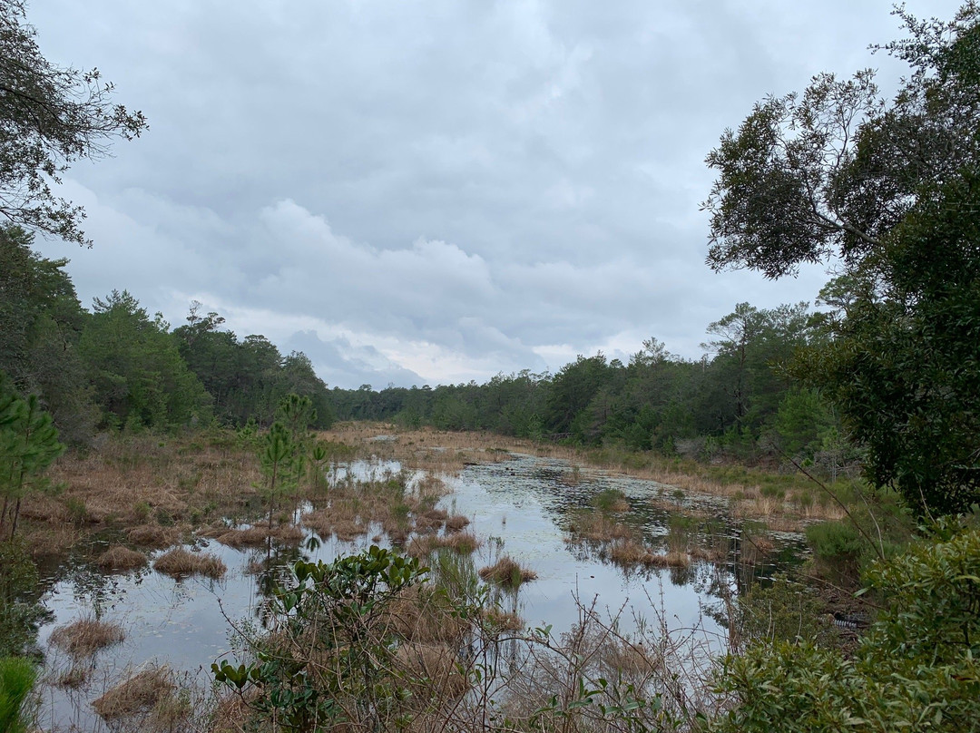 Fred Gannon Rocky Bayou State Park景点图片