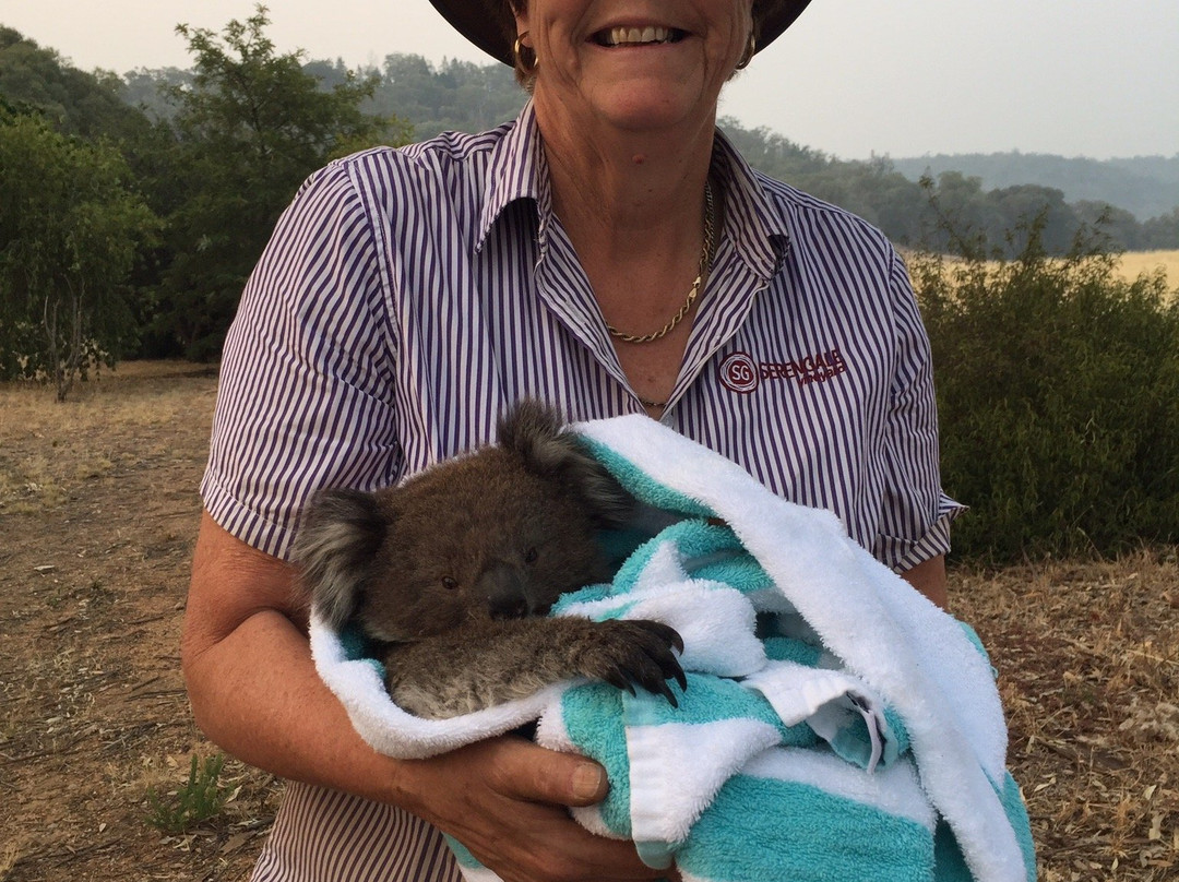 Serengale Vineyard-比奇沃思必去景点