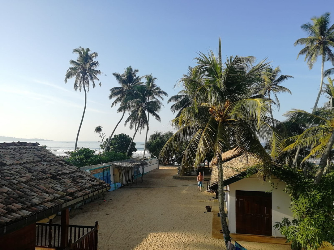 The Green Rooms主图