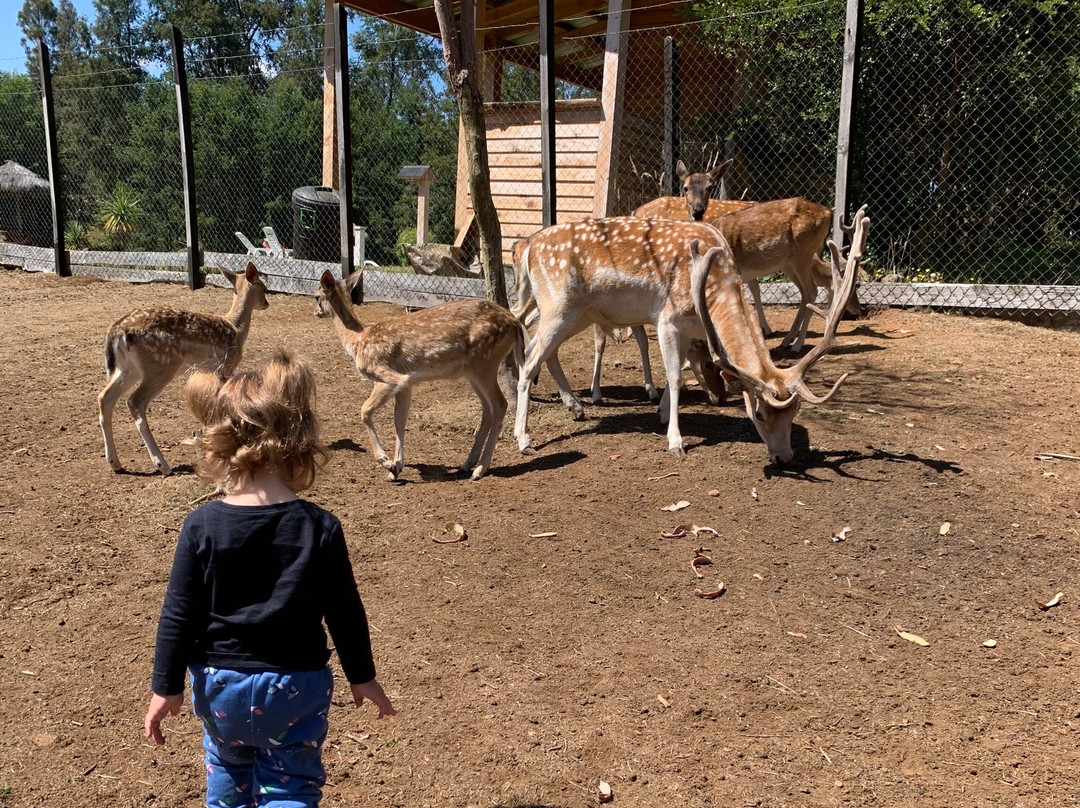Granja Educativa de Villarrica El Dorado-比亚里卡必去景点