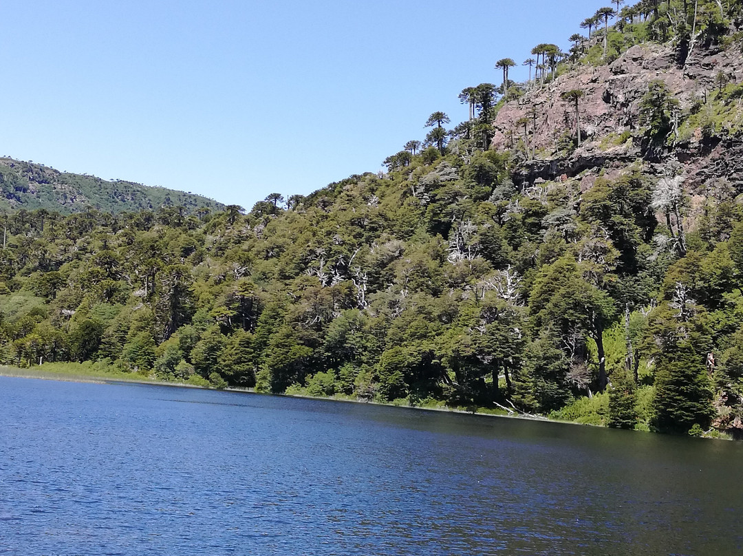 Parque Nacional Tolhuaca-Curacautin必去景点