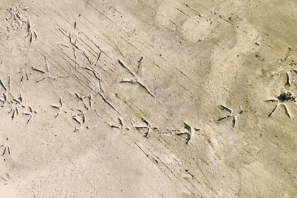 Green Boat Tour Company-阿卡迪亚必去景点