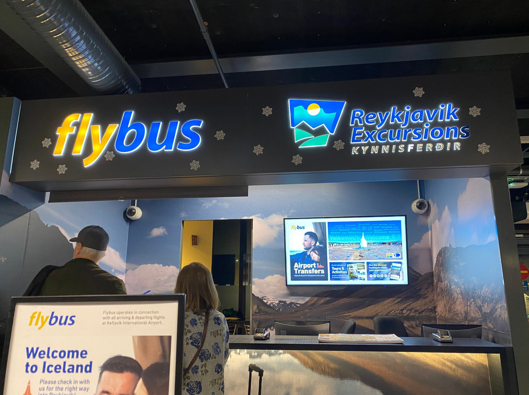 Flybus Airport Transfer-雷克雅未克必去景点
