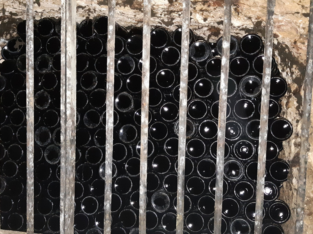 Bodegas Carlos San Pedro Perez de Vinaspre景点图片