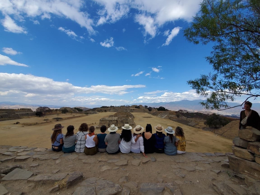 Mexplorer Adventures-瓦哈卡必去景点