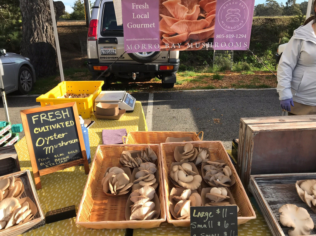 Cambria Farmers Market-坎布里亚必去景点