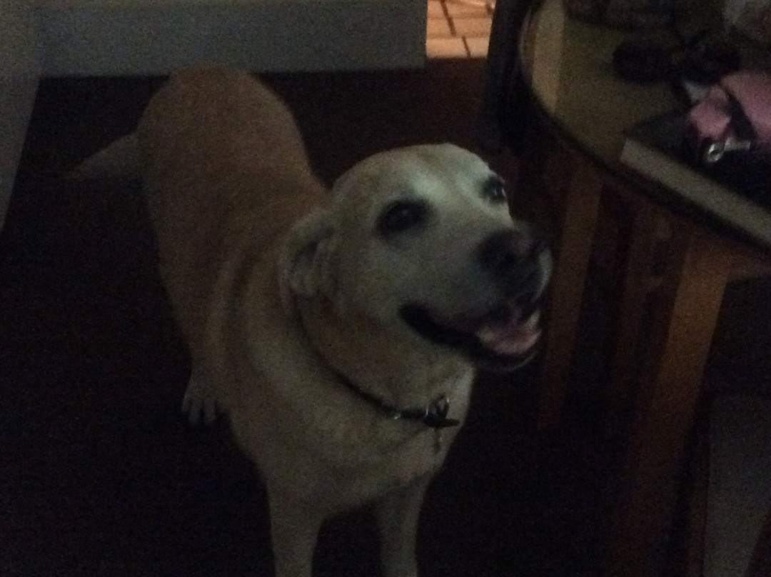 Whale Watch Motel主图