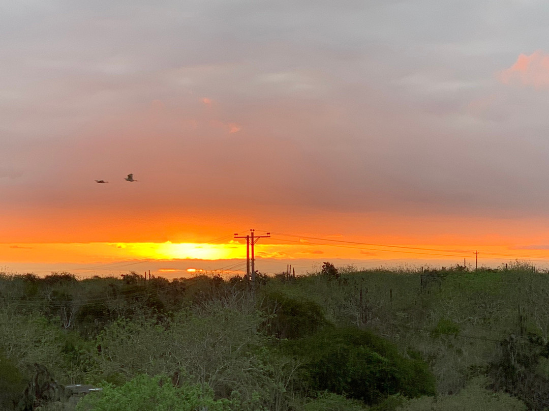 Palo Santo Galapagos Hotel主图