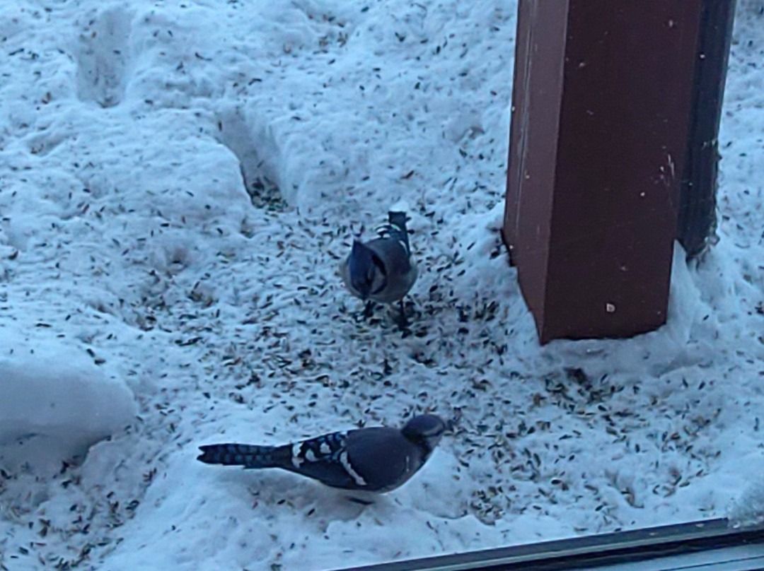 Point Au Roche Lodge主图