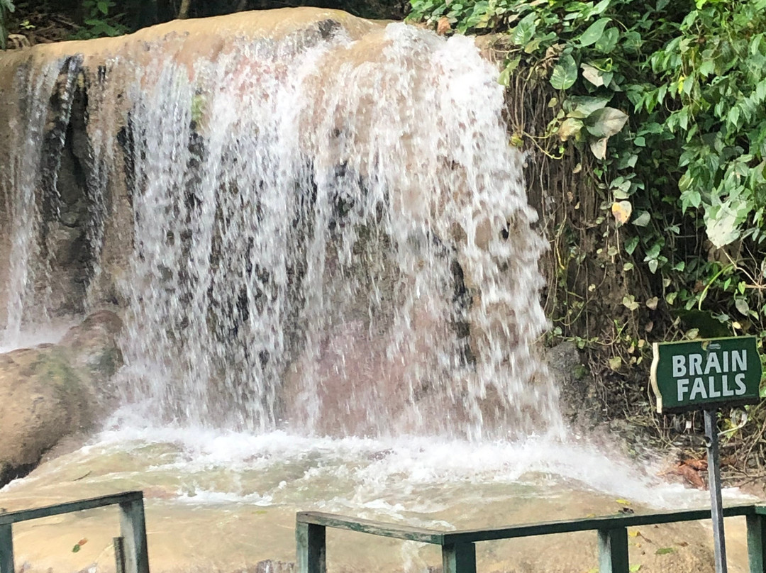 Turtle River Falls and Gardens-Saint Ann Parish必去景点