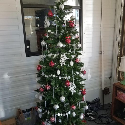 The Jolly Swagman Motor Inn主图