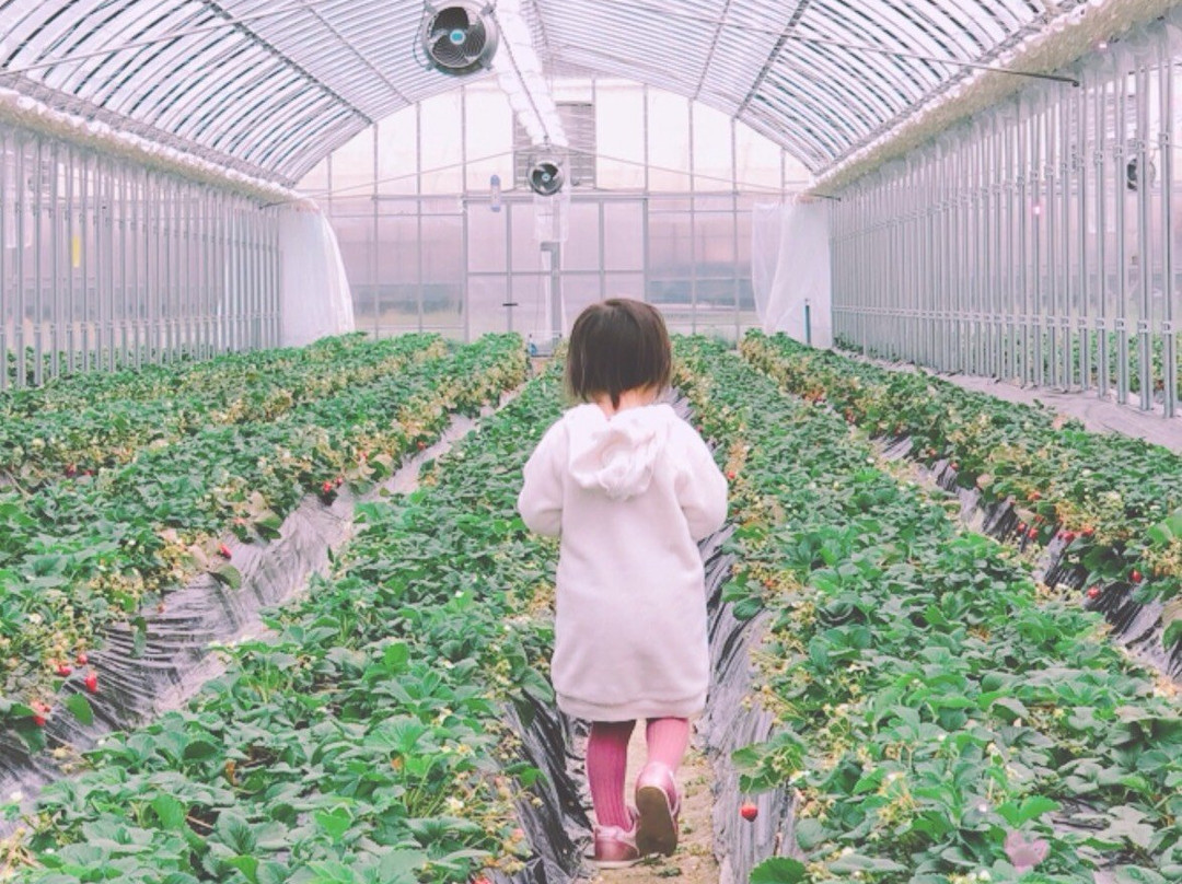 Miyabi Farm