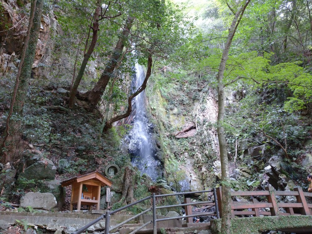 Torinji Temple景点图片