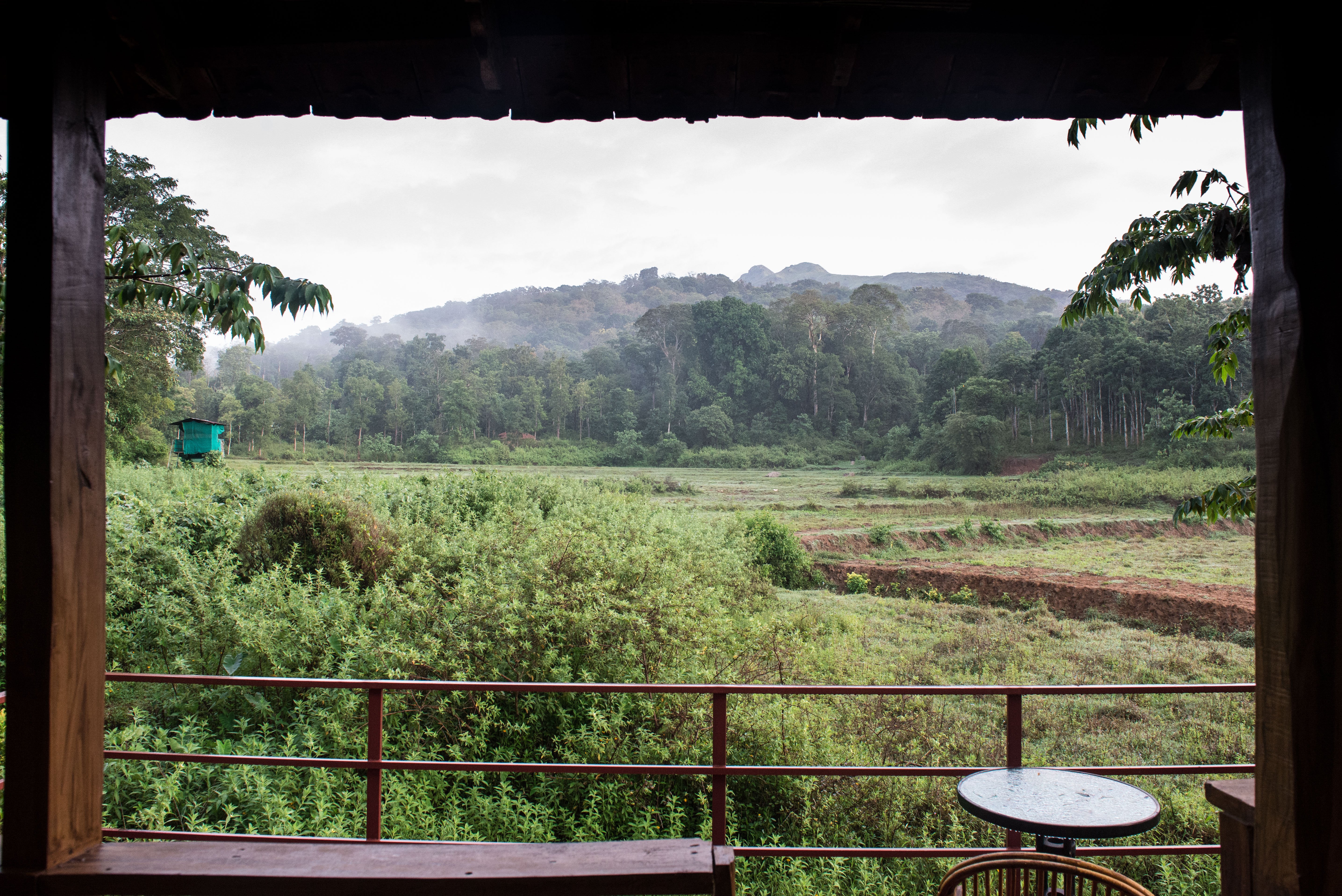 Jungle Retreat Wayanad-酒店景观