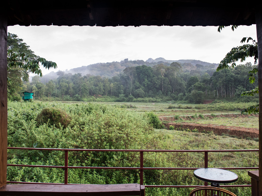 Jungle Retreat Wayanad主图