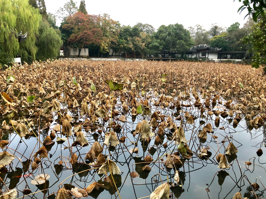 小莲庄-湖州市必去景点