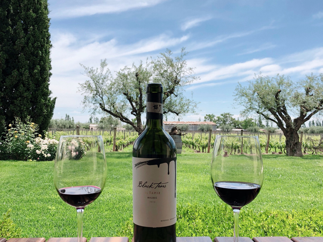 Club Tapiz Hotel主图