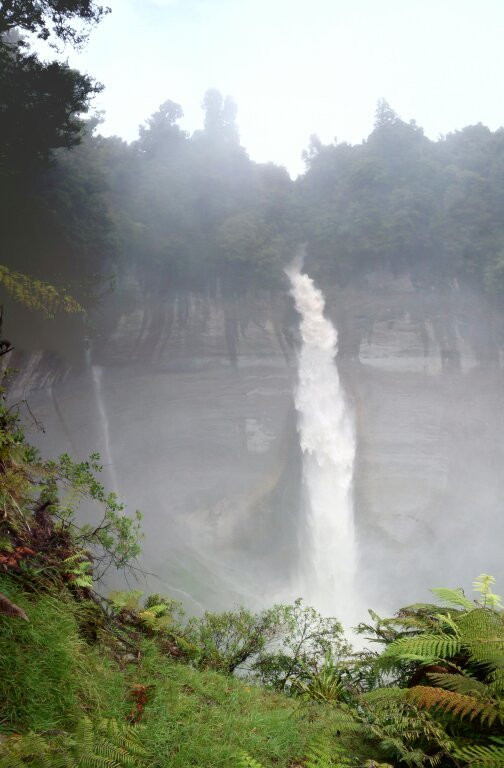 Mount Damper Falls景点图片