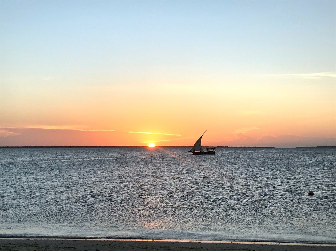 Kendwa Royal Palm主图