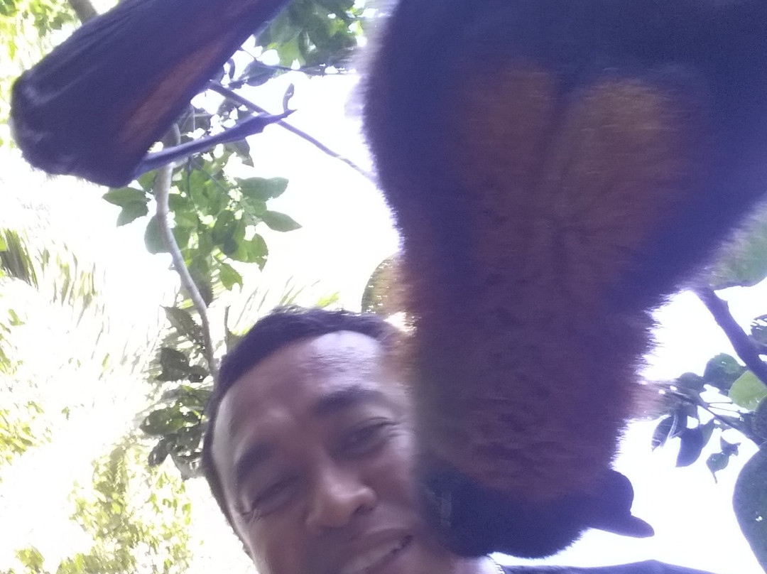 Bali Reiseleiter Martin-吉安雅必去景点