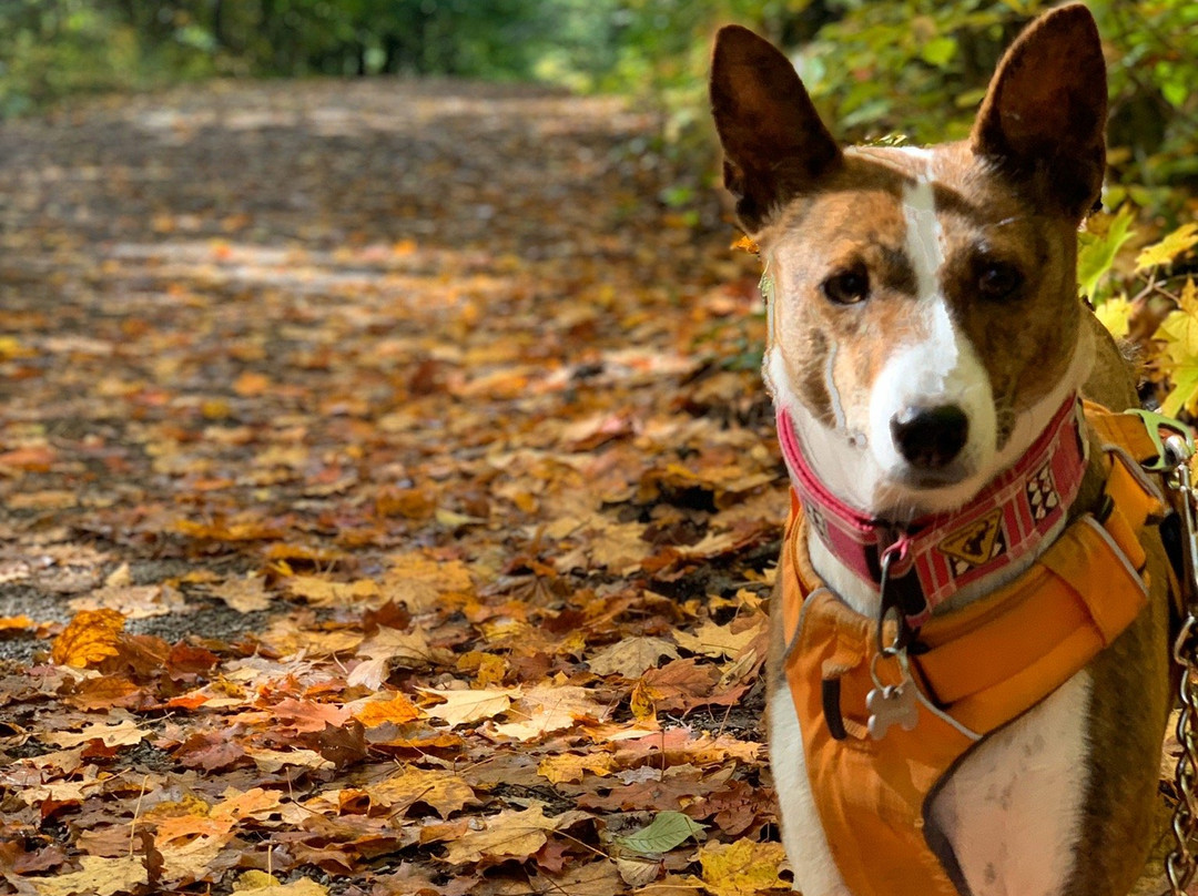 Parc-Nature du Lac Jérôme-Saint Jerome必去景点
