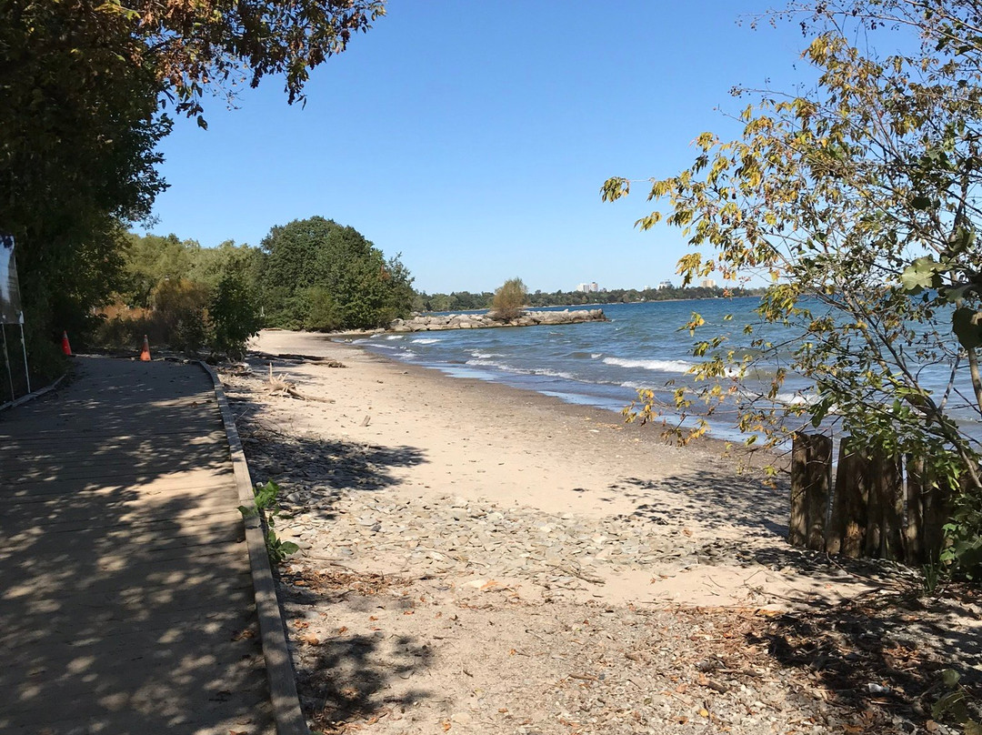 Rattray Marsh Conservation Area景点图片