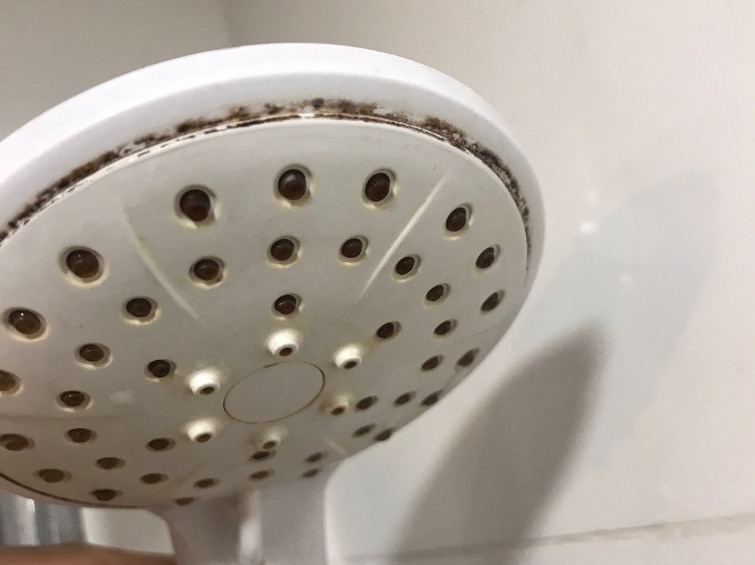 海洋套房 by The Only Bnb主图