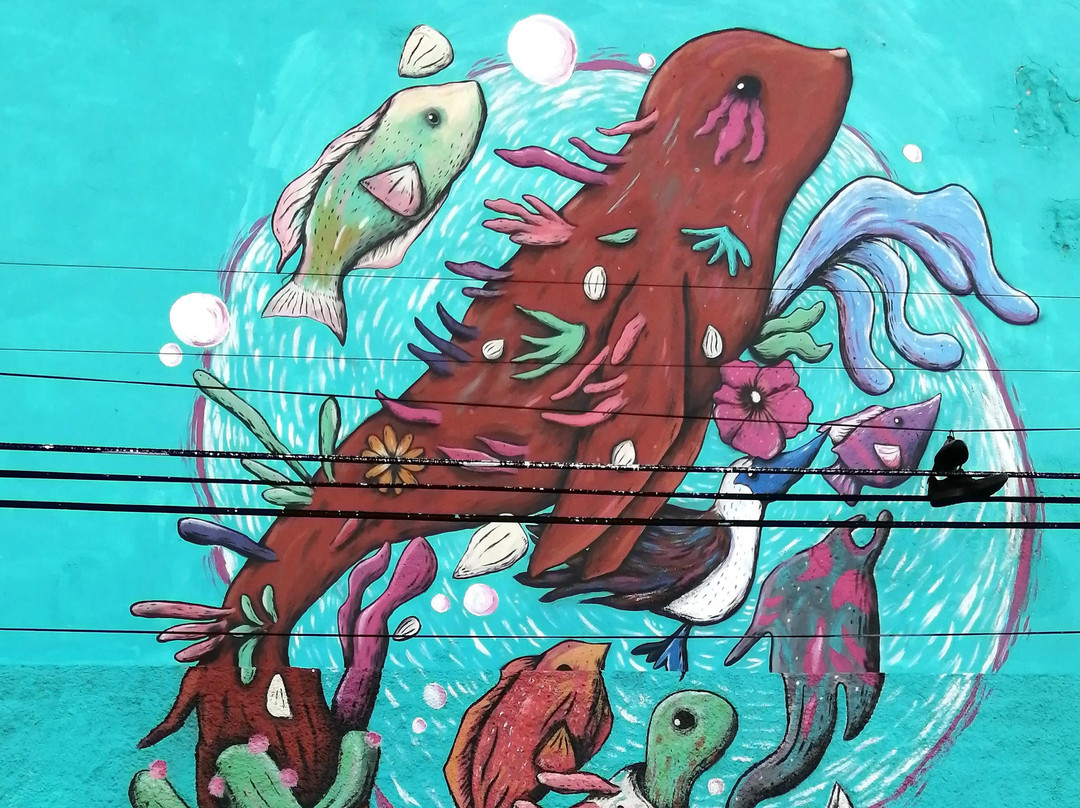 STREET ART LPZ-拉巴斯必去景点