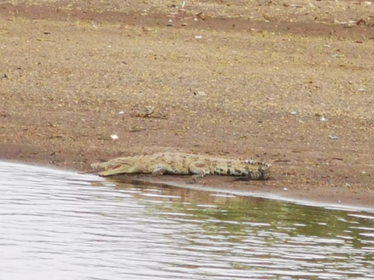 Easy Tours CR- Day Tours-彭塔雷纳斯必去景点