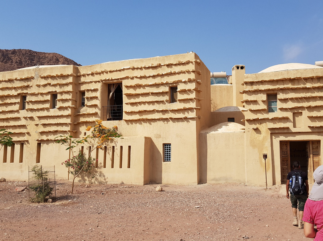 Feynan Ecolodge主图