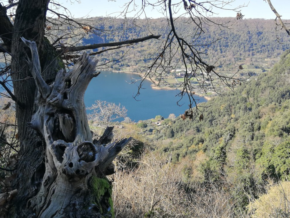 Lago di Nemi景点图片