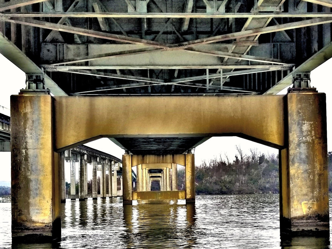 Lake Guntersville-Guntersville必去景点