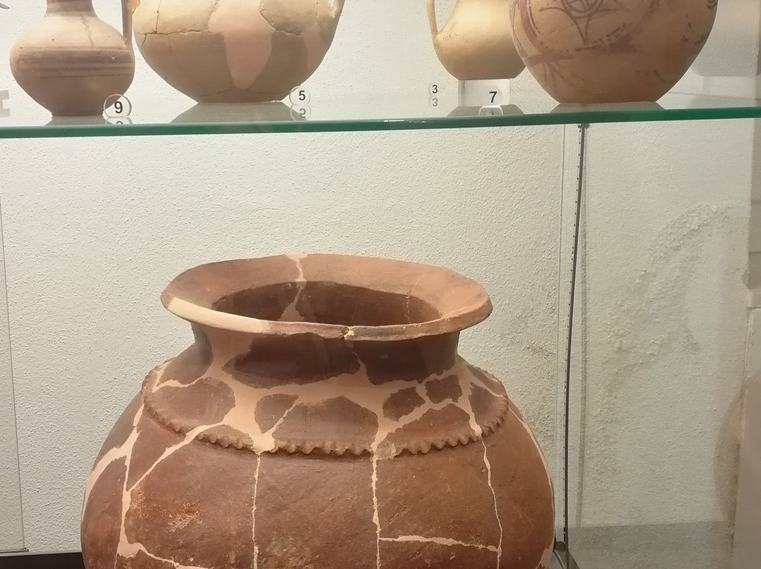 Museo Archeologico di Atena Lucana景点图片