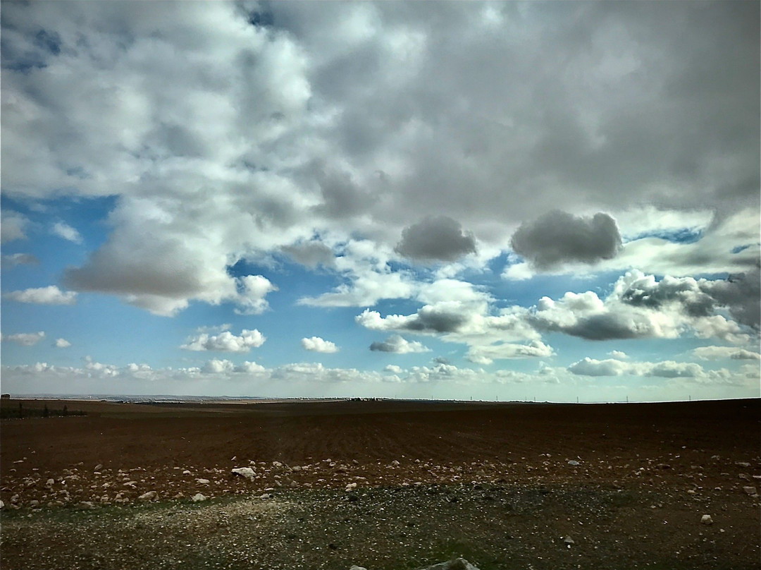 Jordan transportation services-安曼必去景点