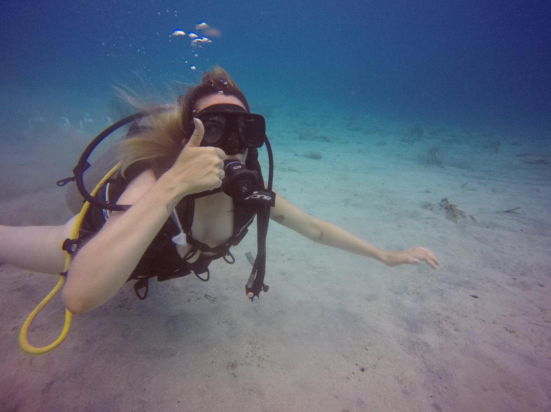 Centro De Buceo Narval景点图片