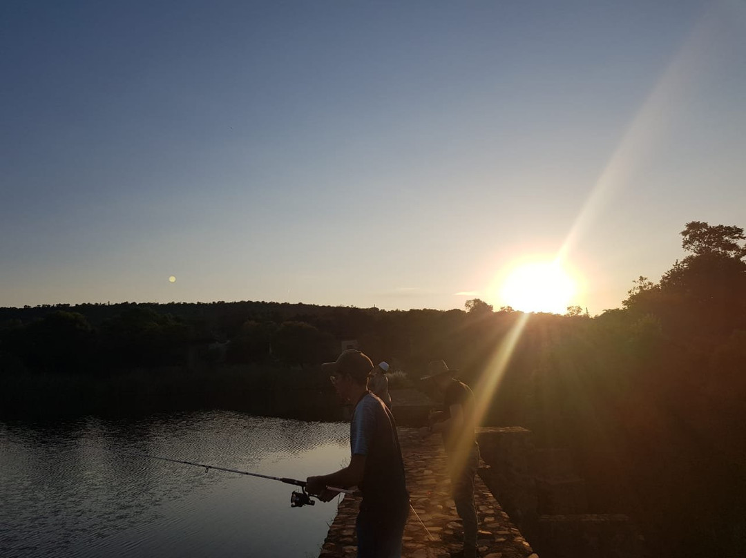 Silver Streams Lodge & Day Spa主图